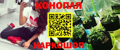 сатива Обнинск