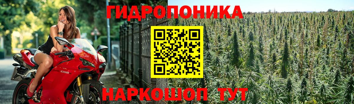 Конопля VHQ  Конопля Bruce Banner  Шатура  Шишки марихуана OG Kush  Вход с VPN 